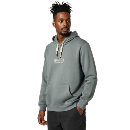 Hoodie Holikstger Back print