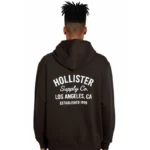 Hoodie Holikstger Back print