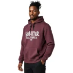 Hoodie Hollister Chest Print