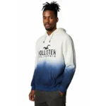 Hoodie Hollister Tay-Dye